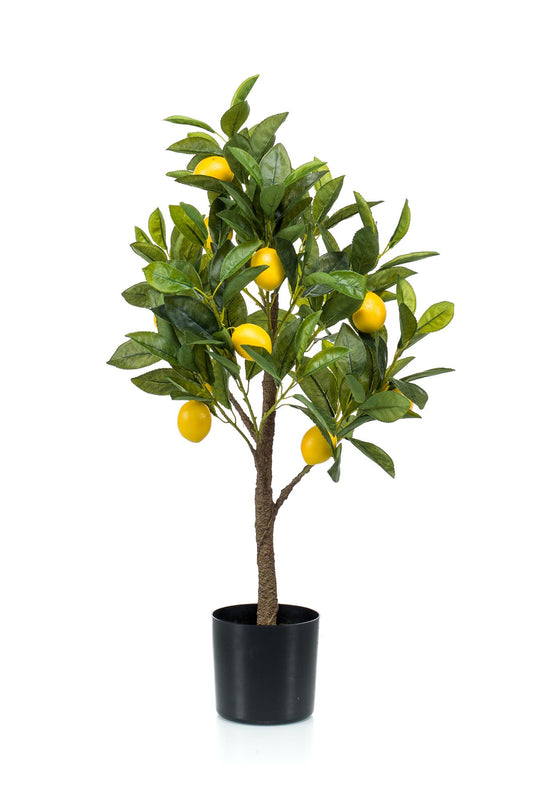 Kunst-Zitronenbaum Citrus Limonia 72 cm – Pflanzfix24.de - Pflanzfix24.de