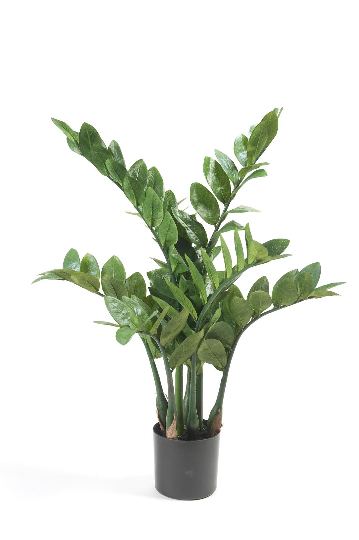 Kunst-Zamioculcas (Zimmerpalme) 70 cm – Pflegeleichte Deko | Pflanzfix24.de - Pflanzfix24.de