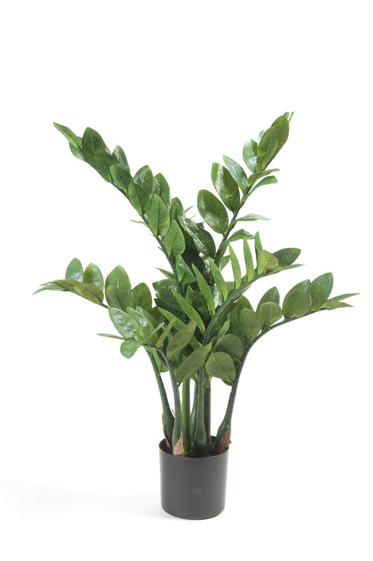 Kunst-Zamioculcas (Zimmerpalme) 70 cm – Pflegeleichte Deko | Pflanzfix24.de - Pflanzfix24.de