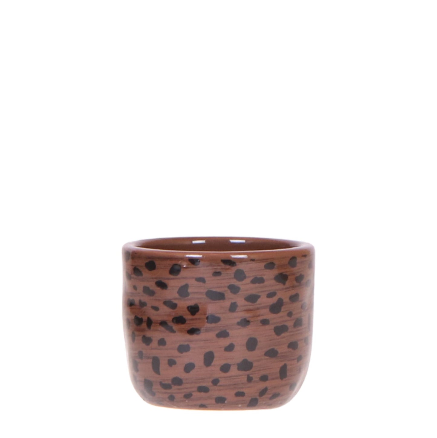 pflanzfix24 | Leoparden-Ziertopf - Ø6cm