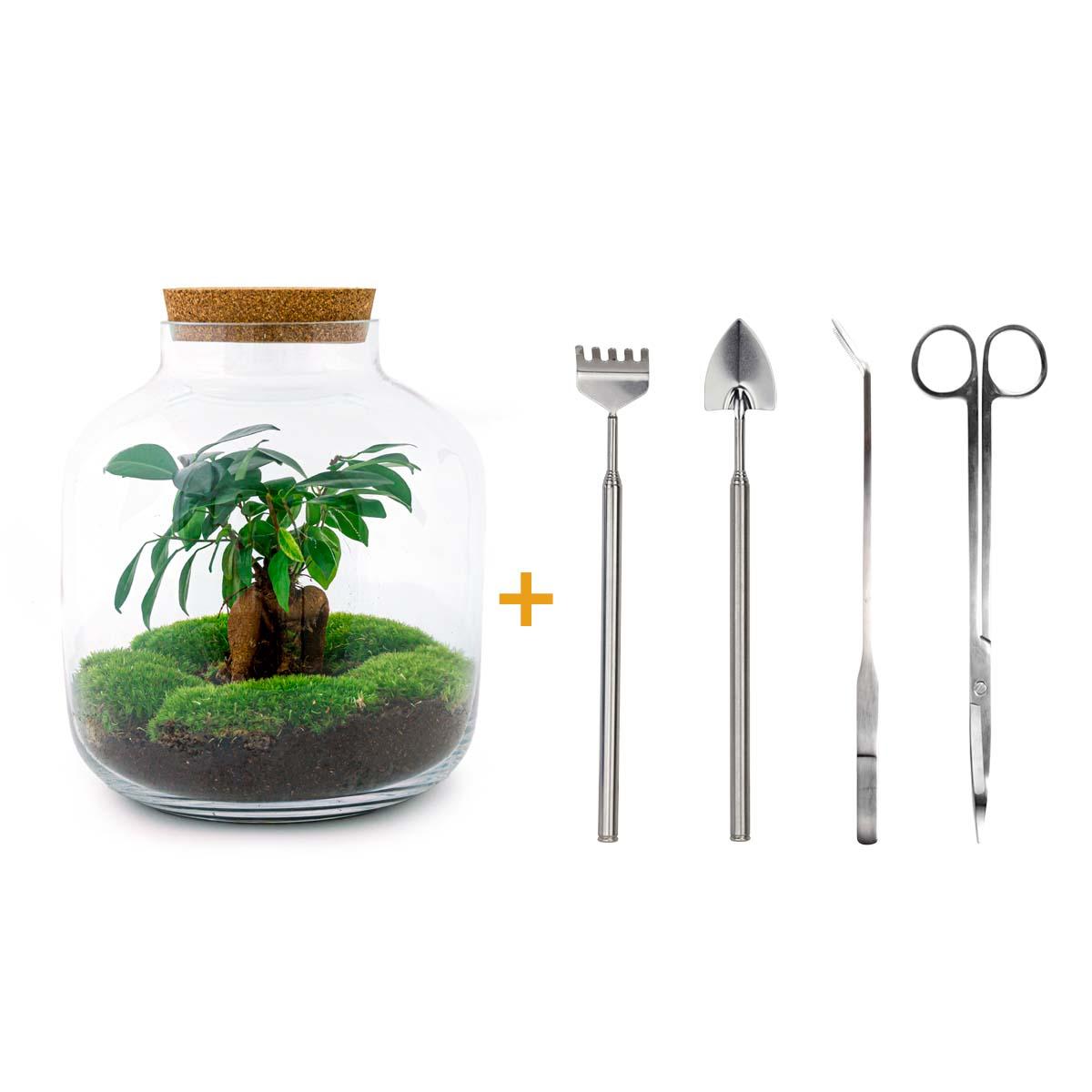 Flaschengarten - Billie - DIY Set - Pflanzfix24