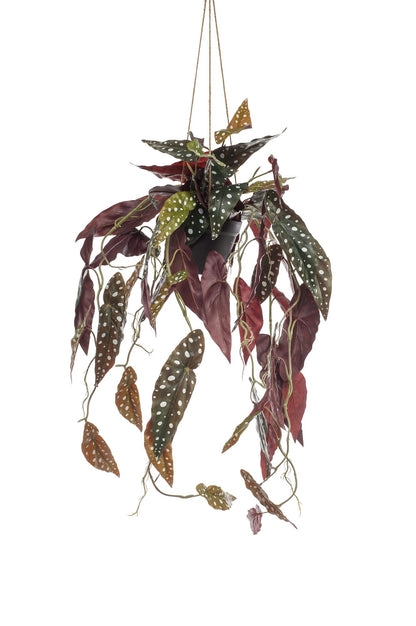 Kunst-Begonia Maculata 80 cm – Pflanzfix24.de - Pflanzfix24.de