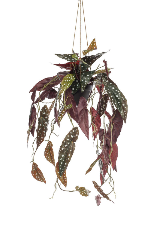 Kunst-Begonia Maculata 80 cm – Pflanzfix24.de - Pflanzfix24.de
