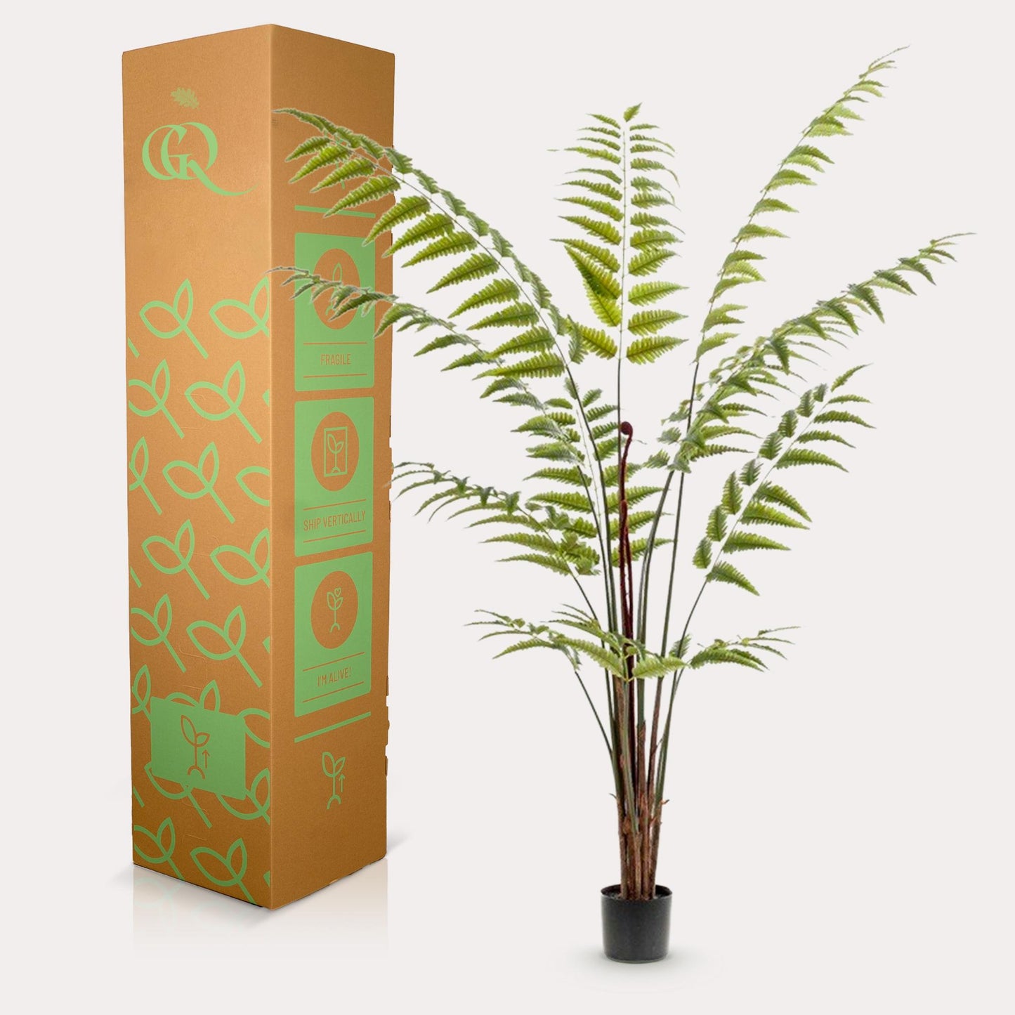 Kunstpflanze Rumohra Adiantiformis 180 cm – Lederfarn | Pflanzfix24.de - Pflanzfix24.de