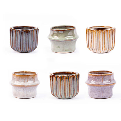 Mini planten set 6 - Inclusief pot set Barcelona - Pflanzfix24