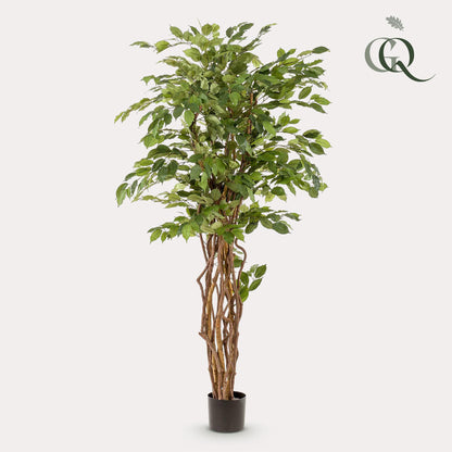 Kunst-Ficus Liana 170 cm – Realistische Deko | Pflanzfix24.de - Pflanzfix24.de
