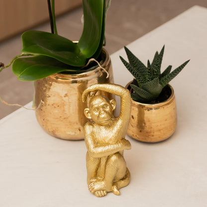 Sitzender Affe Dekofigur Gold – Kolibri Home | Pflanzfix24.de - Pflanzfix24.de