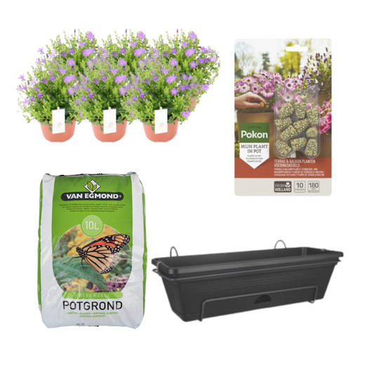 Balkonpflanzgefäß Schwarz DIY-Set - Campanula - Pflanzfix24.de - Pflanzfix24.de