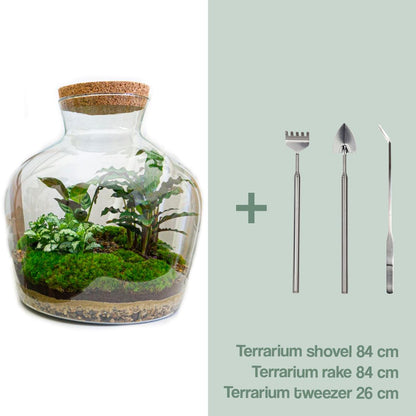 Flaschengarten - Fat Joe - 30 cm - DIY-Set - Pflanzfix24