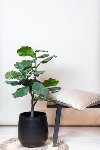 Ficus Lyrata Kunstpflanze 90cm – Tabakpflanze | Pflanzfix24.de - Pflanzfix24.de