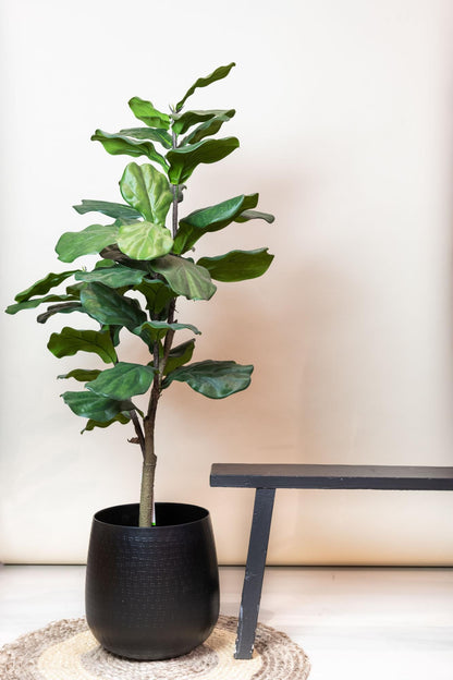 Ficus Lyrata Kunstpflanze 120cm – Tabakpflanze | Pflanzfix24.de - Pflanzfix24.de