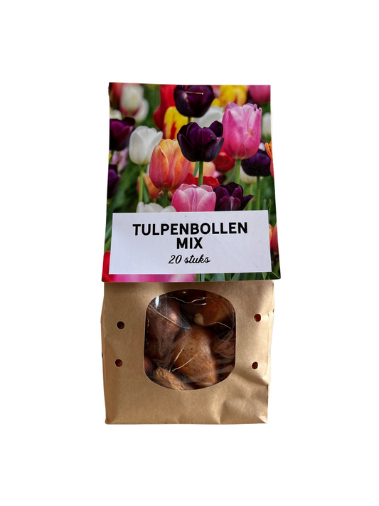 Tulpen Mix - Tulpenbollen 20 Stück | Pflanzfix24