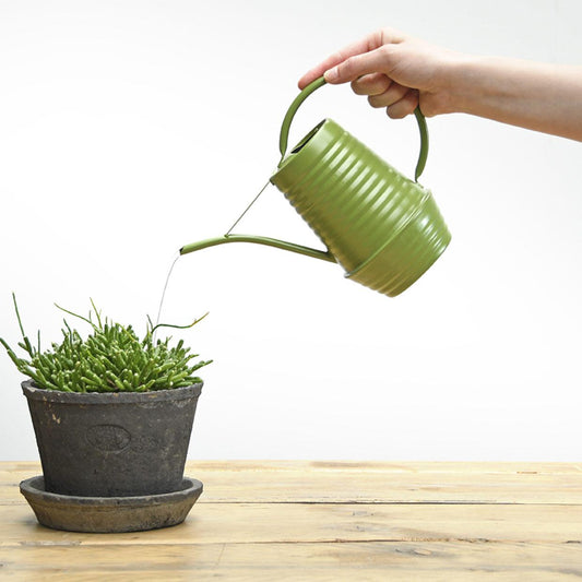 Bloemengieter - Zink - 1L - Groen - Pflanzfix24.de - Pflanzfix24.de
