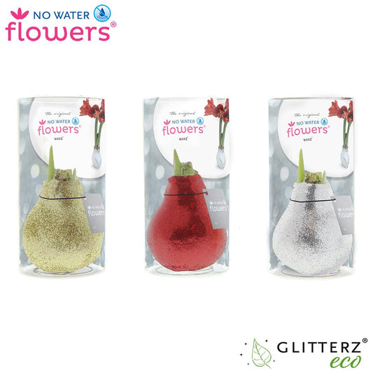 No Water Flowers Glitterz Goud / Rood / Zilver in Koker - 3 Stücke - Pflanzfix24