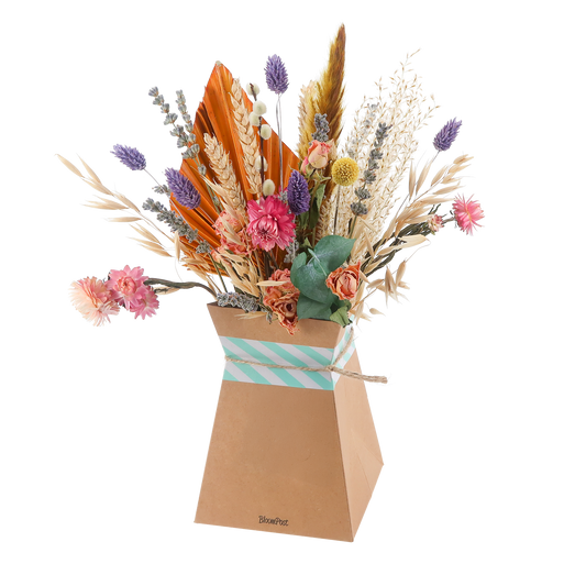 Trockenblumen Pastell + faltbare Vase - Pflanzfix24.de - Pflanzfix24.de