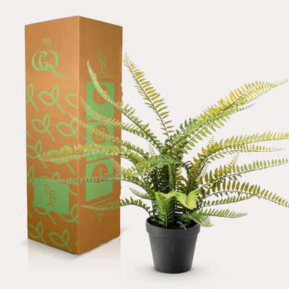 Kunstpflanze Nephrolepis Exaltata Boston Farn 55 cm – Pflegeleicht & Realistisch | Pflanzfix24.de - Pflanzfix24.de