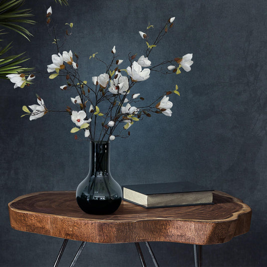 Kunstzweige Magnolien Crème – 4er Set – 105 cm | Pflanzfix24