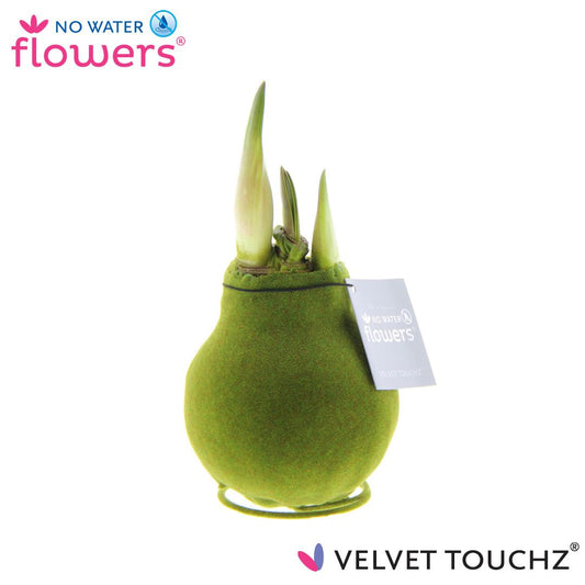 No Water Flowers Velvet Touchz® Moss Green - ↕15cm - Pflanzfix24