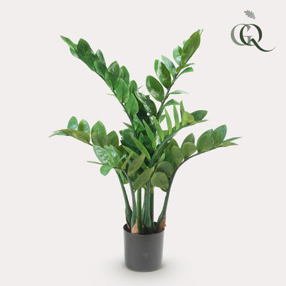 Kunst-Zamioculcas (Zimmerpalme) 70 cm – Pflegeleichte Deko | Pflanzfix24.de - Pflanzfix24.de