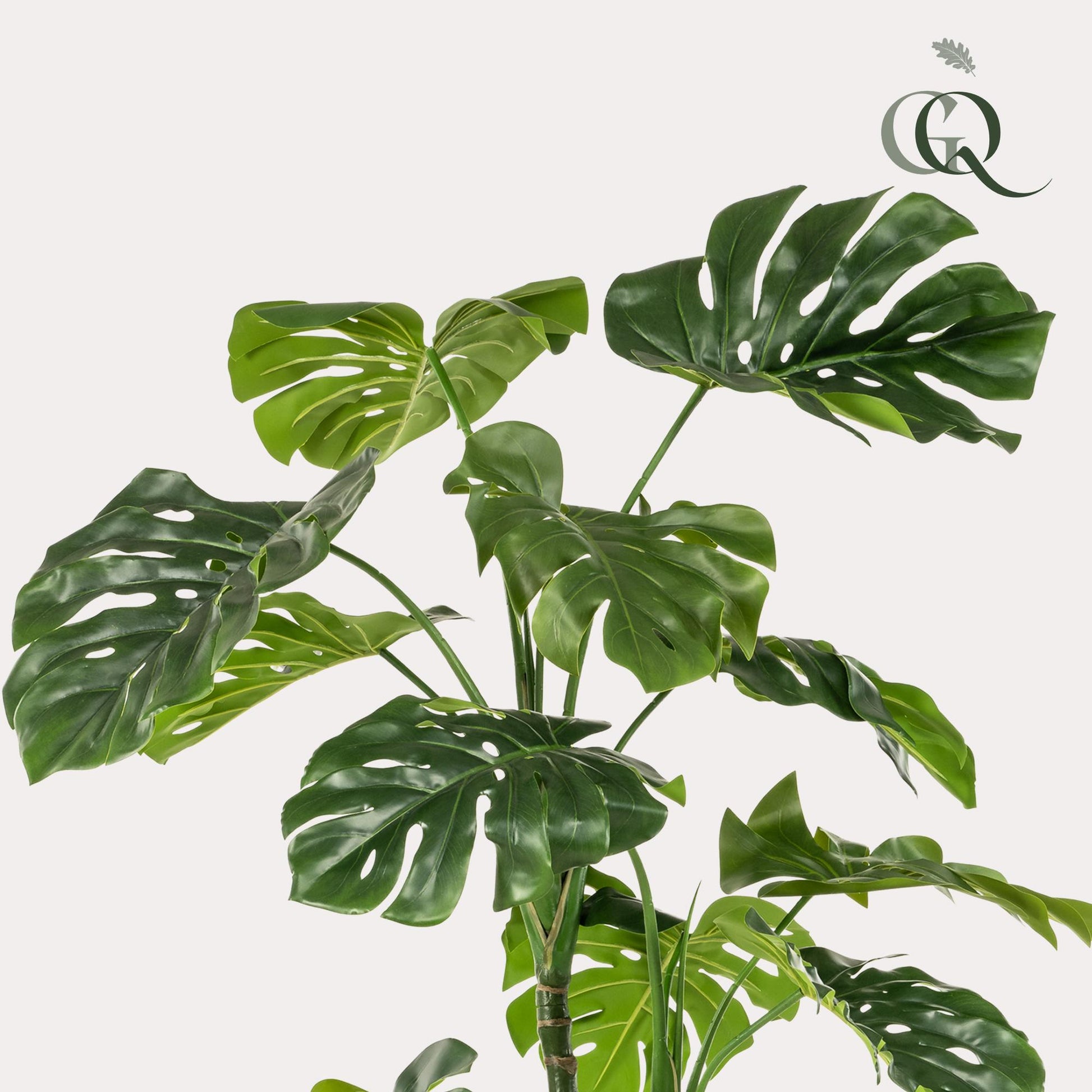 Kunstpflanze Monstera Gatenplant 180 cm | Pflanzfix24.de - Pflanzfix24.de