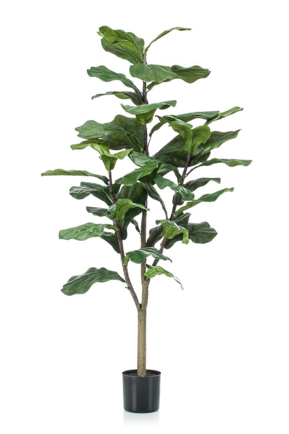 Ficus Lyrata Kunstpflanze 120cm – Tabakpflanze | Pflanzfix24.de - Pflanzfix24.de