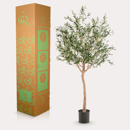 Kunstpflanze Olea europaea Olivenbaum 180 cm – Pflegeleicht & Dekorativ | Pflanzfix24.de - Pflanzfix24.de