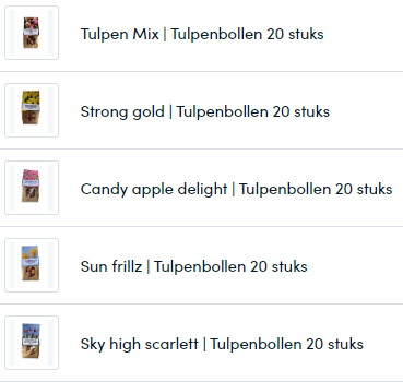 Tulpenbollen-Mix - Pflanzfix24