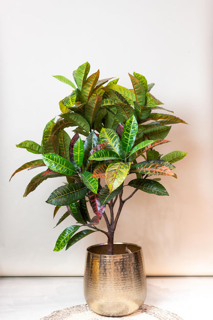 Croton Codiaeum Kunstpflanze 120cm – Wunderstrauch | Pflanzfix24.de - Pflanzfix24.de