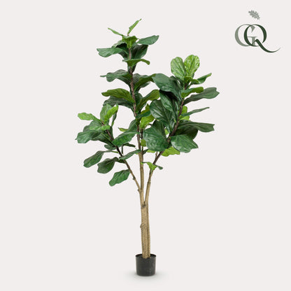 Ficus Lyrata Kunstpflanze 180cm – Tabakpflanze | Pflanzfix24.de - Pflanzfix24.de