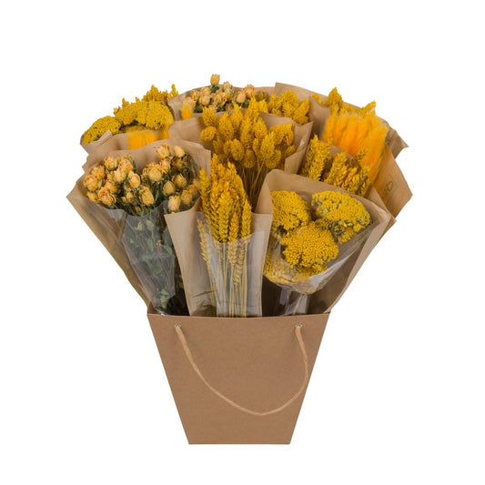 Getrocknete Blumen - Dried Mono Mix - Yellow - ↕50cm - Pflanzfix24.de - Pflanzfix24.de
