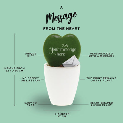 Message Printz® Hoya (Heartplant) | Je t'aime - Pflanzfix24