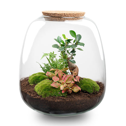 Pflanzenterrarium - Emma - DIY-Set - ↑ 25 cm - Ø 23 cm - Bonsai Rot + LED - Pflanzfix24