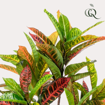 Croton Codiaeum Kunstpflanze 95cm – Wunderstrauch | Pflanzfix24.de - Pflanzfix24.de