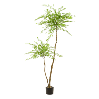 Kunstpflanze Sophora Tree 190 cm – Honigbaum | Pflanzfix24.de - Pflanzfix24.de