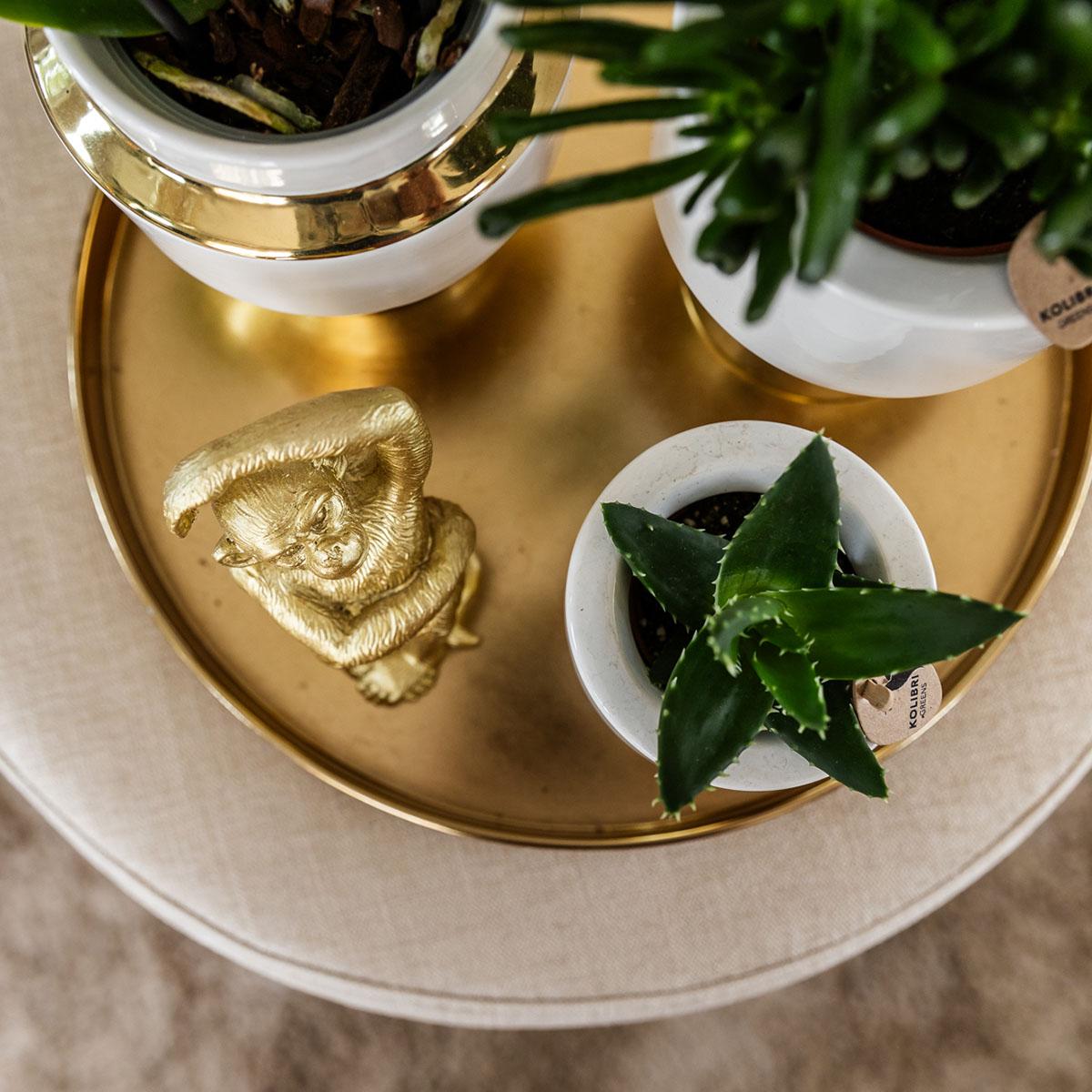 Kolibri Home Le Chic Blumentopf Weiß Ø6cm mit Gold – Keramik | Pflanzfix24.de - Pflanzfix24.de