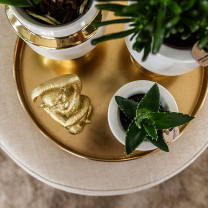Kolibri Home Le Chic Blumentopf Weiß Ø6cm mit Gold – Keramik | Pflanzfix24.de - Pflanzfix24.de