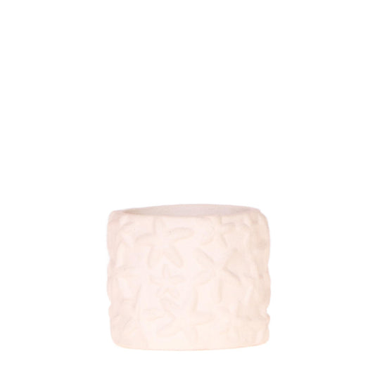 Star Fish Dekotopf Off White Ø6cm – Kolibri Home | Pflanzfix24.de - Pflanzfix24.de