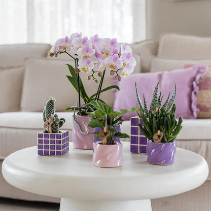 Kolibri Home Mosa Ziertopf Lilac 9cm – pflanzfix24