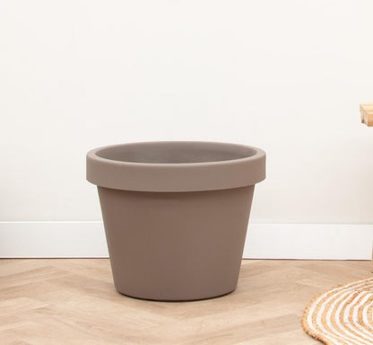 Lira Tortora Pflanze D65 x H58 cm | Pflanzfix24