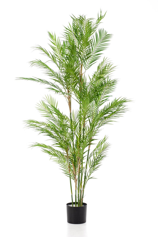 Kunstpflanze Chamaedorea Elegans Bergpalme 180 cm – Pflanzfix24