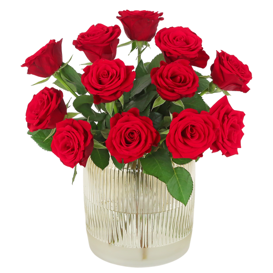Liebesrosen Briefkastenstrauß 12 rote Rosen 32cm | Pflanzfix24