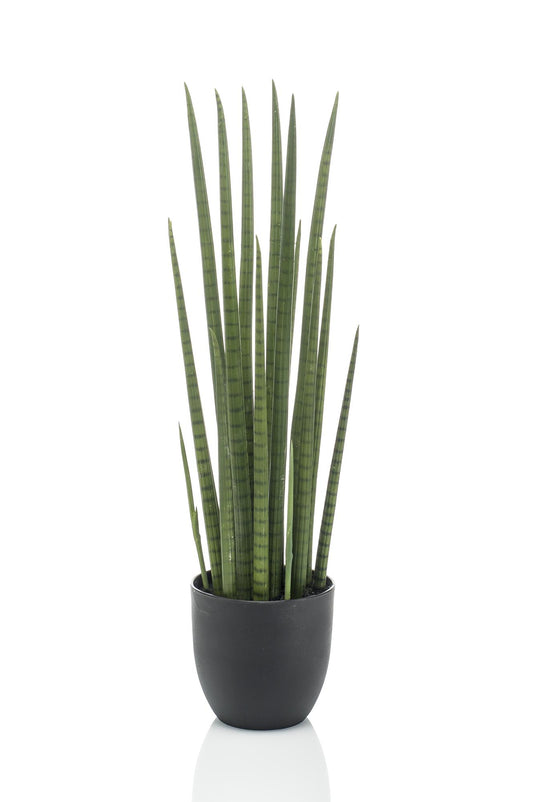 Kunst-Sansevieria Cylindrica 70 cm – Frauenzunge | Pflanzfix24.de - Pflanzfix24.de