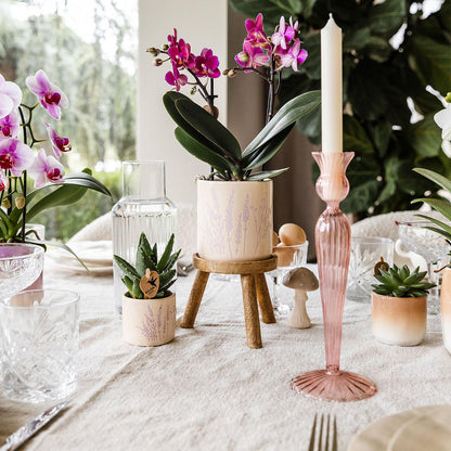 Blumentopf Lavendel 9 cm - Kolibri Home bei Pflanzfix24
