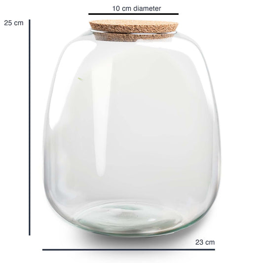 Terrariumflasche 'Emma' 25x23 cm - Glas - Pflanzfix24