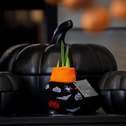 No Water Flowers® Fashionz Halloween - Black + Red flower - Pflanzfix24