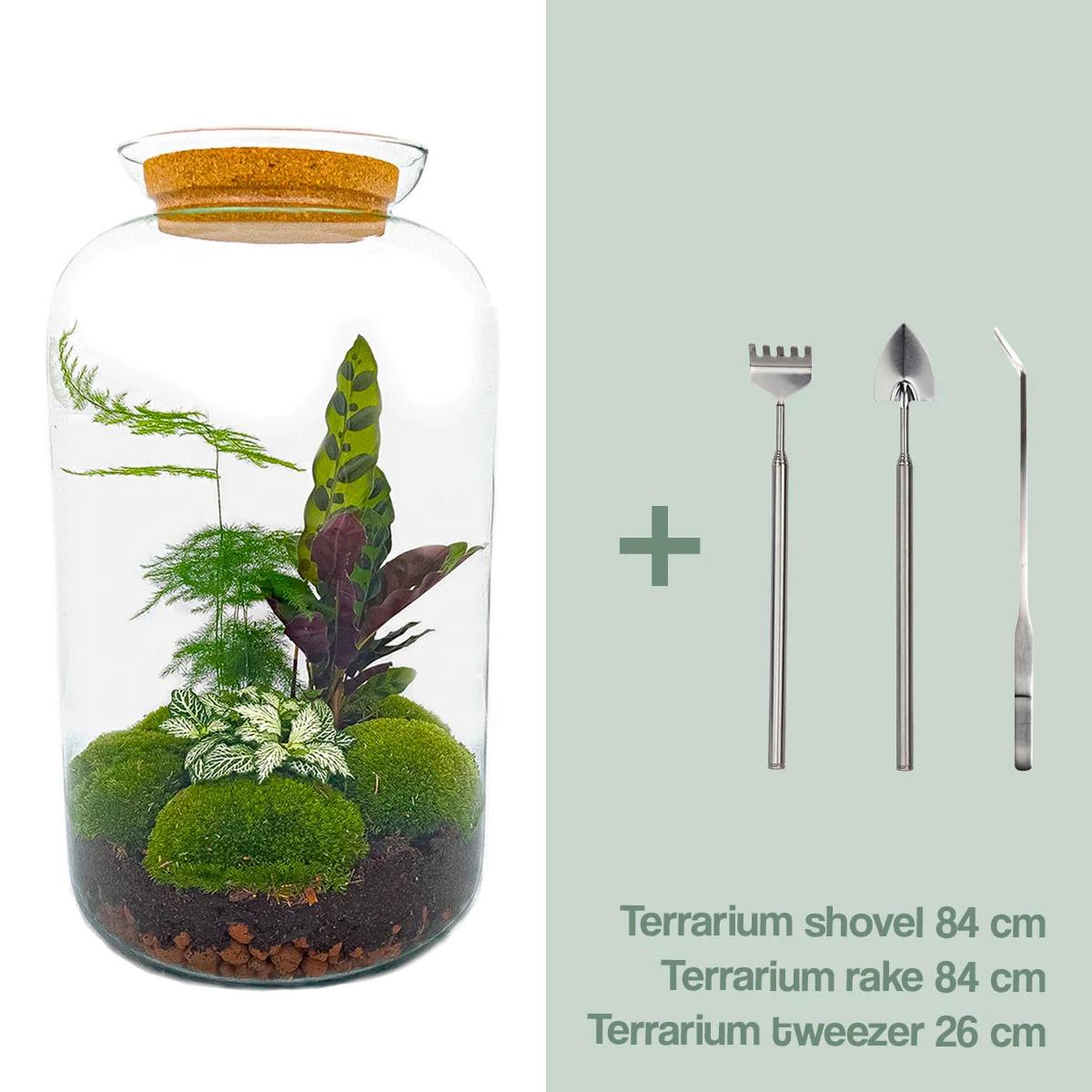 Flaschengarten - Botanical Sven XL - ↕ 43 cm - Rake + Shovel + Tweezer - Pflanzfix24.de - Pflanzfix24.de