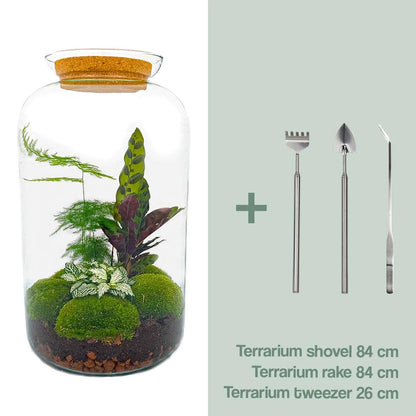 Flaschengarten - Botanical Sven XL - ↕ 43 cm - Rake + Shovel + Tweezer - Pflanzfix24.de - Pflanzfix24.de