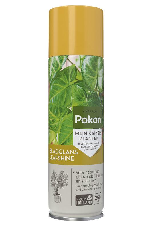Blatt Glanz - 250ML bei Pflanzfix24.de - Pflanzfix24.de