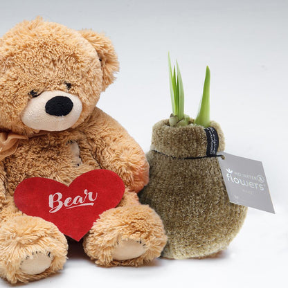No Water Flowers® Fashionz Cozy Teddy Mix (3er Pack) + Rot Blume - Pflanzfix24