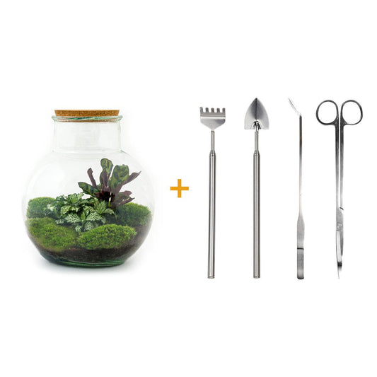 Flaschengarten - Teddy - ↕ 26,5 cm - Rake + Shovel + Tweezer + Scissors - Pflanzfix24.de - Pflanzfix24.de